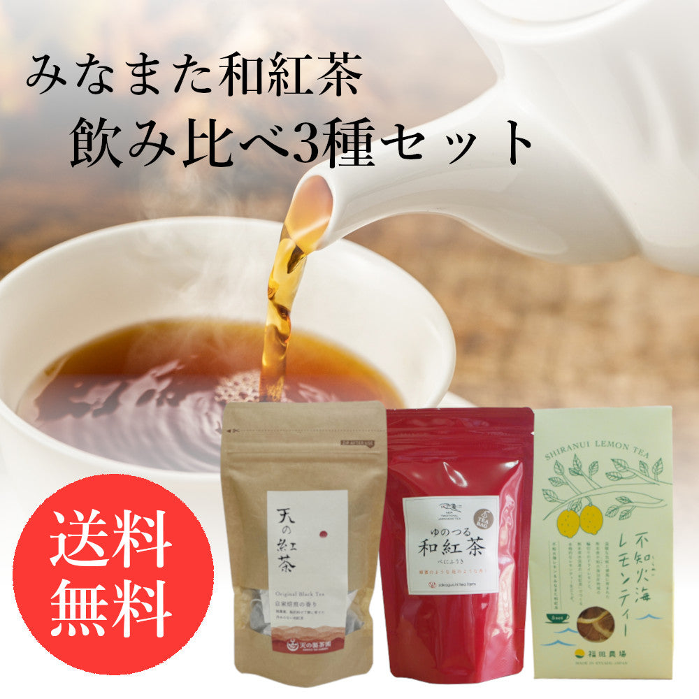 みなまた和紅茶 飲み比べ3種セット 天の製茶園 お茶の坂口園 8119-3