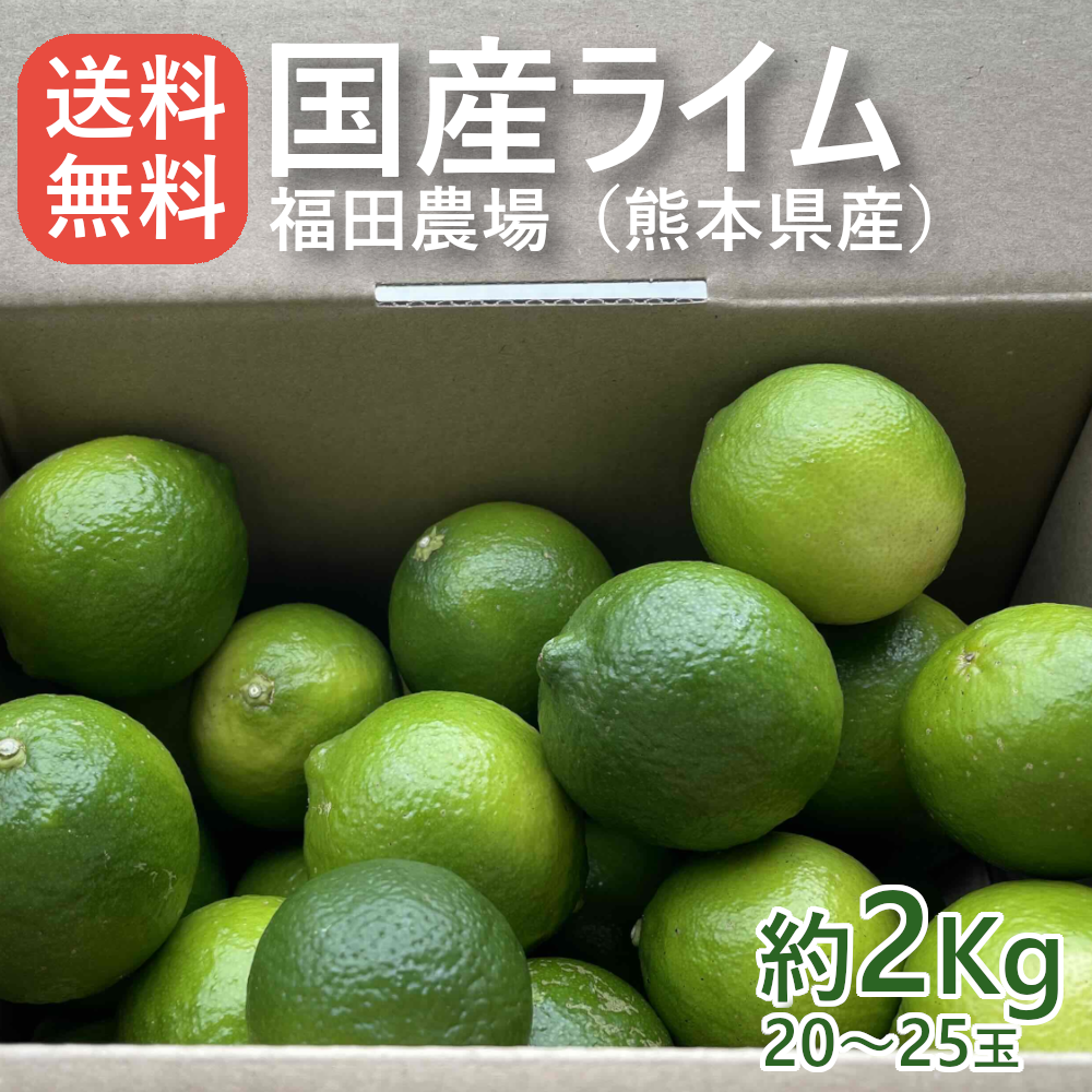 国産 ライム 2kg ノーワックス 防腐剤 防かび剤不使用 ご家庭用 有機肥料栽培 熊本県産 R189