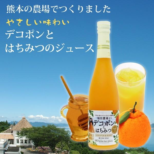 デコポンとはちみつ 2倍希釈600mlはちみつ入り 福田農場 1009