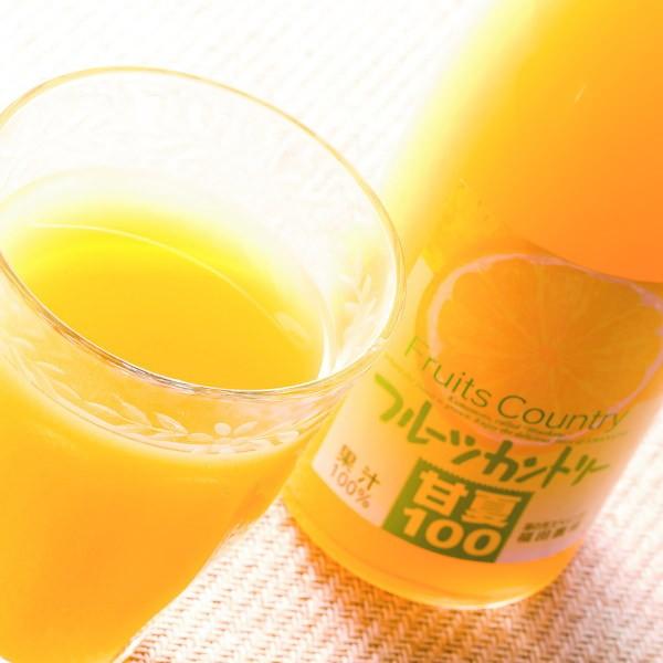 フルーツカントリー甘夏100%(500ml)甘夏ジュース 1013