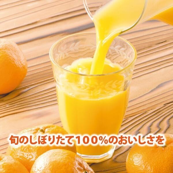 ギフト 九州まるごとしぼり みかんジュース 温州みかん10本セット 1049-10