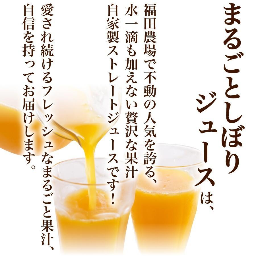 ギフト 九州まるごとしぼり みかんジュース 温州みかん10本セット 1049-10