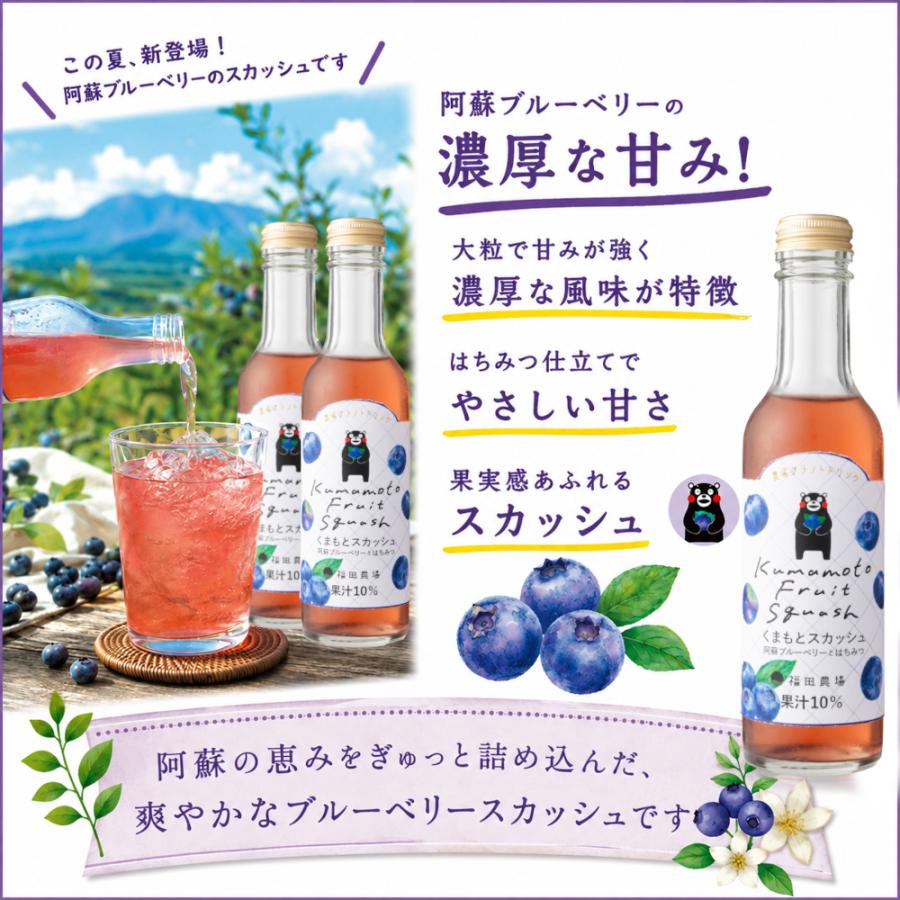 くまもとスカッシュ 200ml6本セット 阿蘇ブルーベリーとはちみつ 果汁10% 福田農場 1077-6
