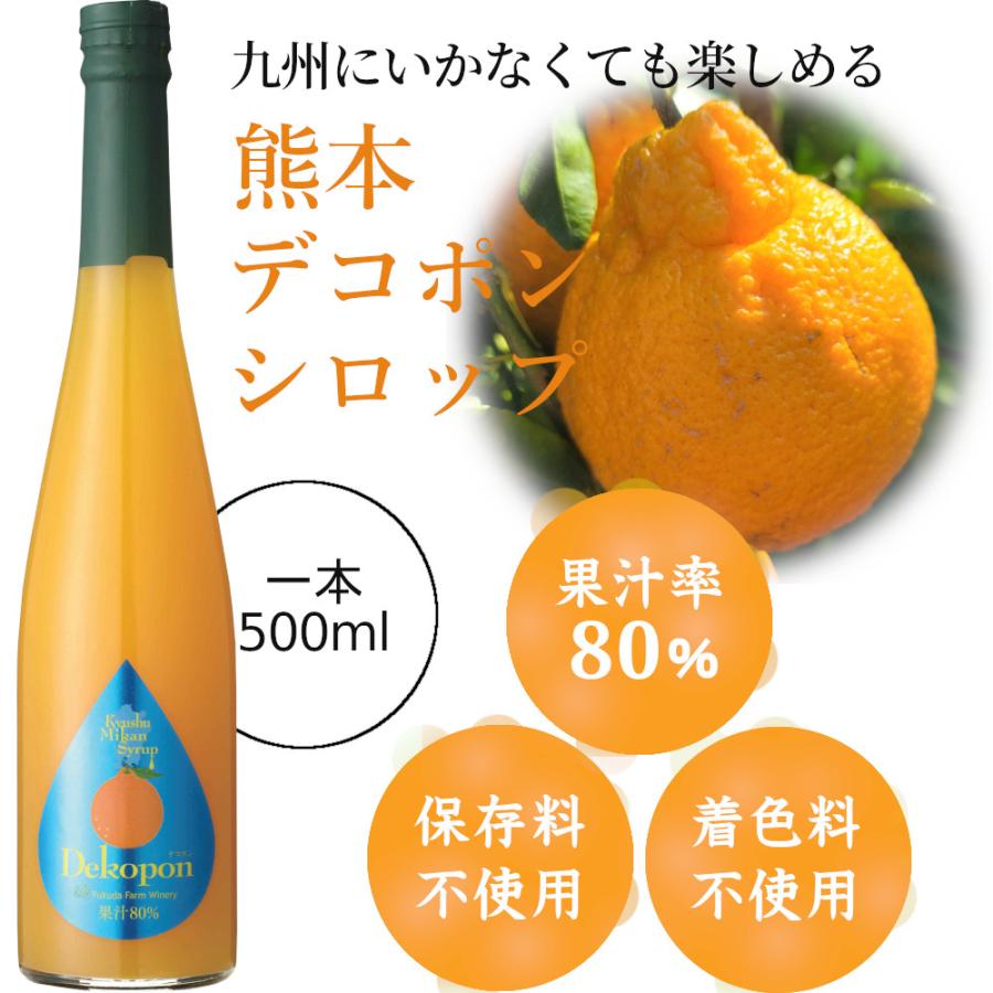 九州果実シロップ 割り材 デコポン3倍希釈 500ml 1133