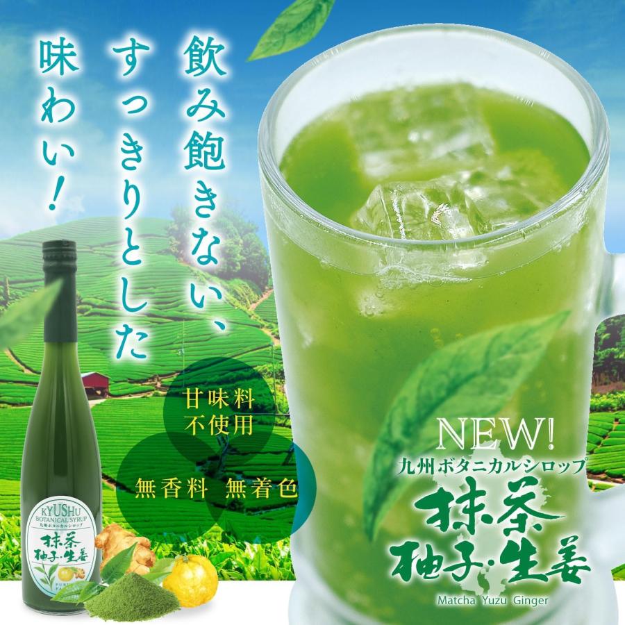九州ボタニカルシロップ 抹茶 柚子 生姜 500ml お酒 割材 炭酸 1159