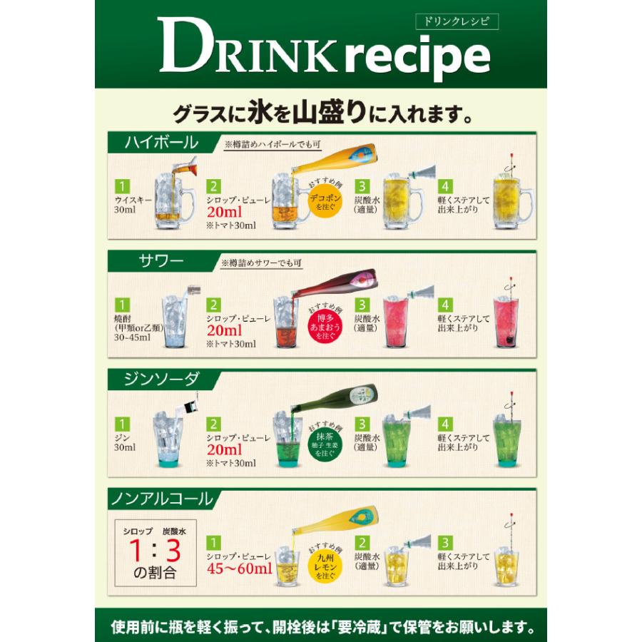 九州ボタニカルシロップ 抹茶 柚子 生姜 500ml お酒 割材 炭酸 1159