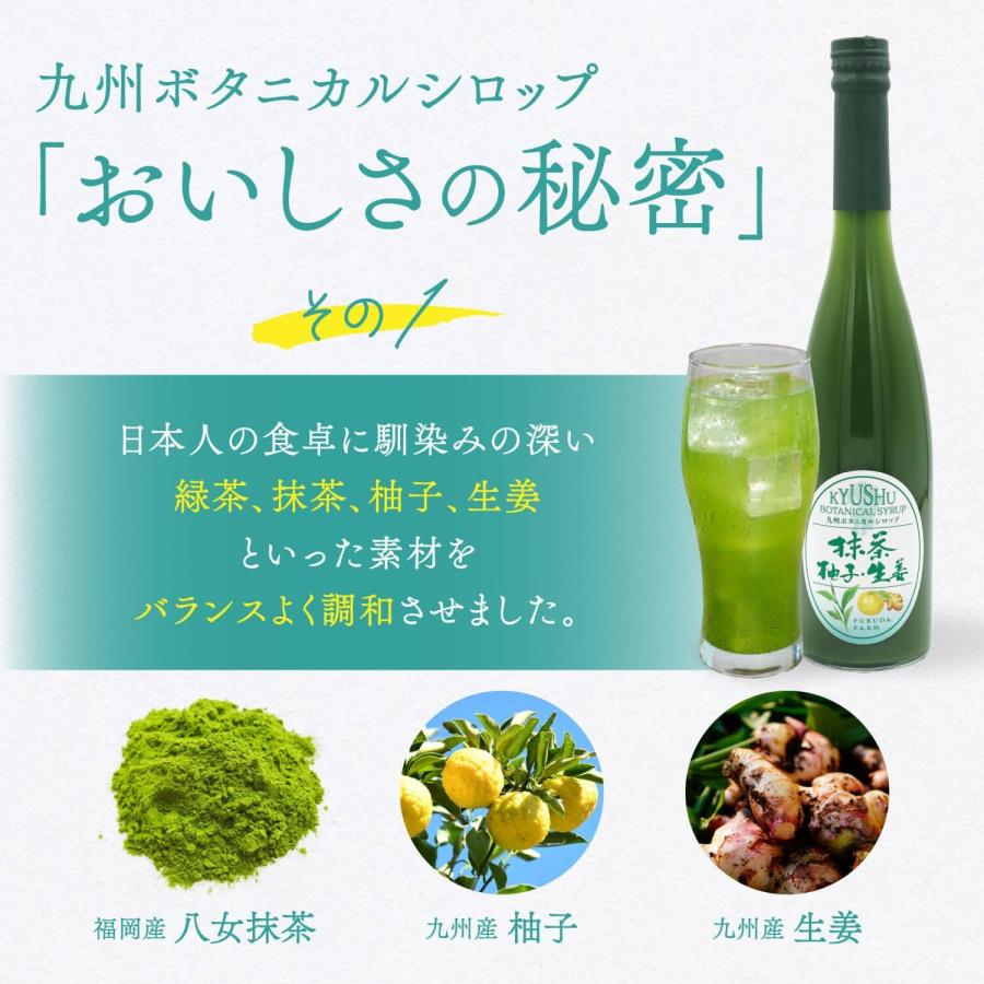 九州ボタニカルシロップ 抹茶 柚子 生姜 500ml お酒 割材 炭酸 1159