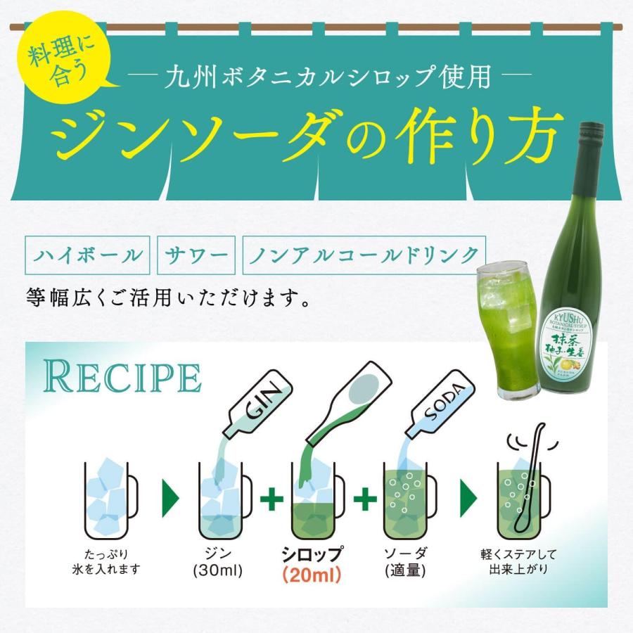 九州ボタニカルシロップ 抹茶 柚子 生姜 500ml お酒 割材 炭酸 1159