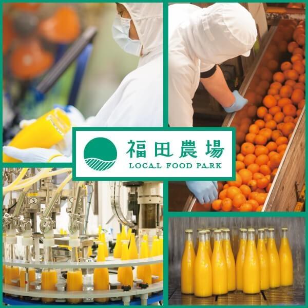 福田農場 シロップ 割り材 3本セット 希釈タイプ 500ml 送料無料 デコポン 温州 あまおう 人気ベスト3セット 九州果実シロップ