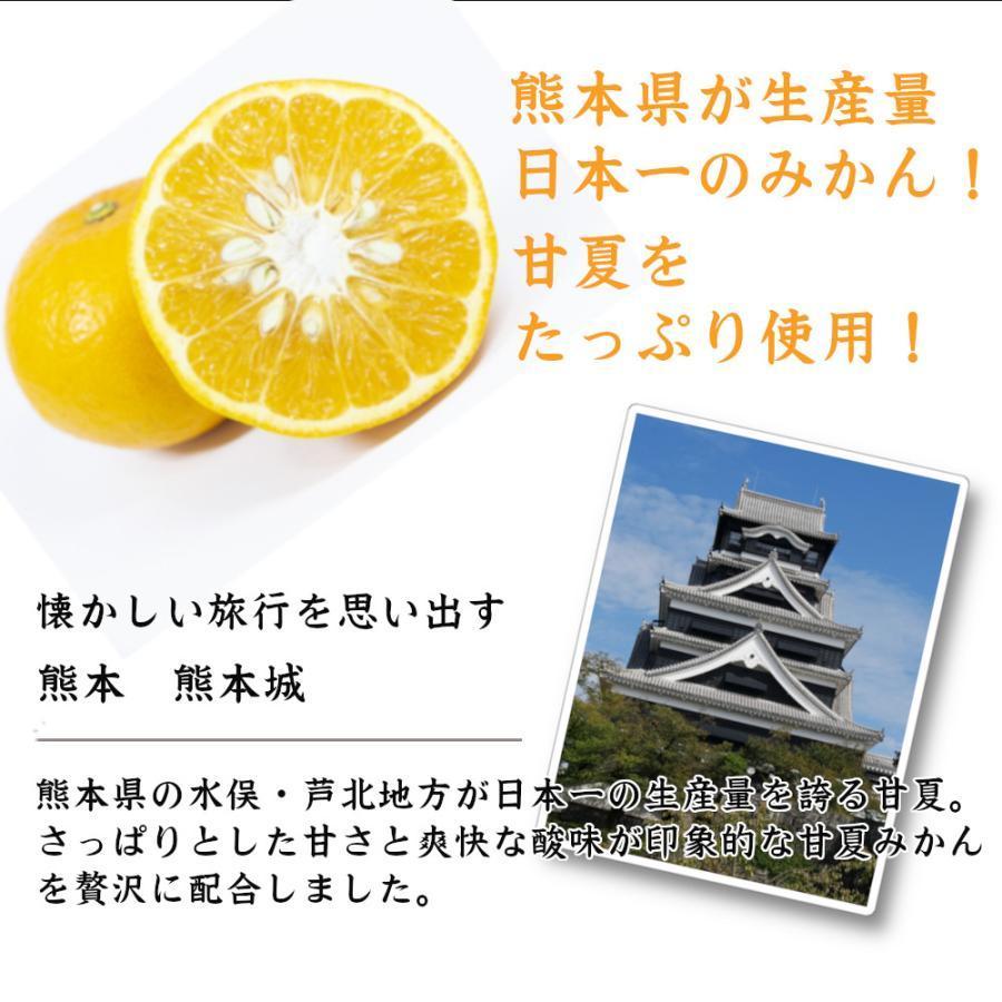 福田農場 シロップ 割り材 3本セット 希釈タイプ 500ml 送料無料 甘夏 日向夏 晩柑 柑橘ベスト3セット 九州果実シロップ 1161