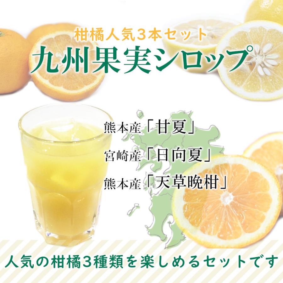 福田農場 シロップ 割り材 3本セット 希釈タイプ 500ml 送料無料 甘夏 日向夏 晩柑 柑橘ベスト3セット 九州果実シロップ 1161