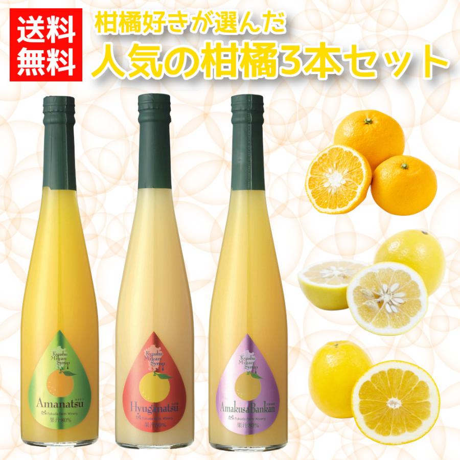 福田農場 シロップ 割り材 3本セット 希釈タイプ 500ml 送料無料 甘夏 日向夏 晩柑 柑橘ベスト3セット 九州果実シロップ 1161
