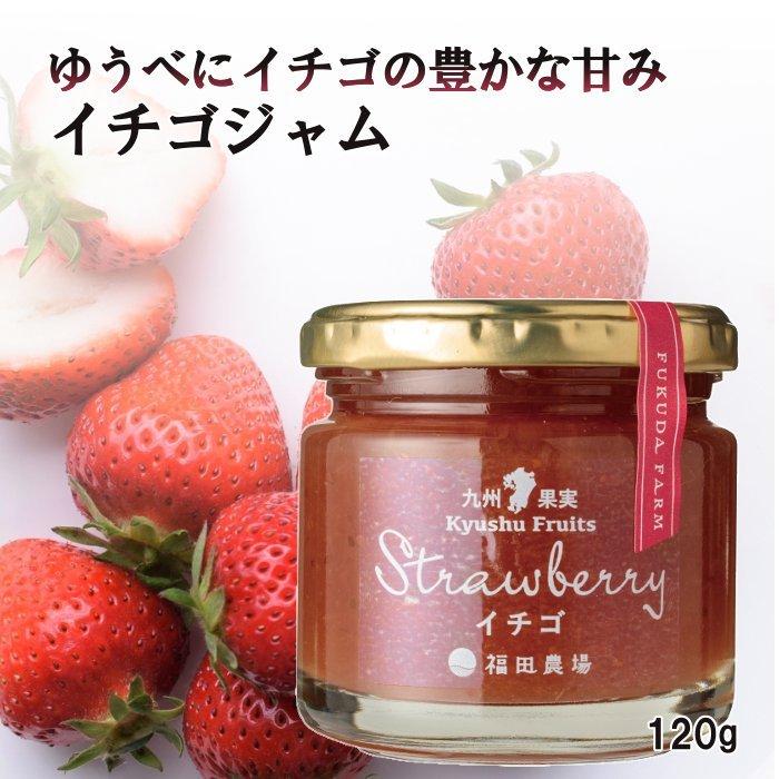 福田農場 九州果実ジャム ジャム イチゴ 120g レギュラーサイズ 福田農場 熊本 143