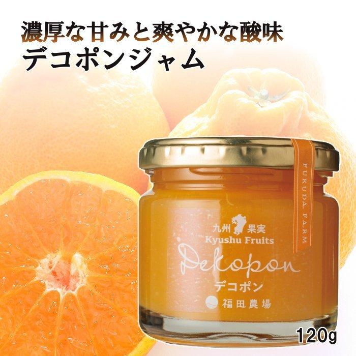 福田農場 九州果実ジャム ジャム デコポン 120g レギュラーサイズ 福田農場 熊本 171