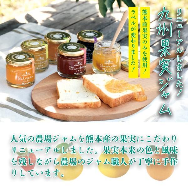 福田農場 九州果実ジャム ジャム デコポン 120g レギュラーサイズ 福田農場 熊本 171