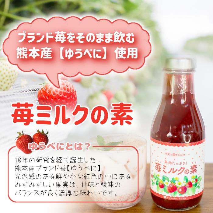 送料無料 いちごミルクの素 2本セット イチゴ 牛乳と混ぜるだけ 果肉たっぷり