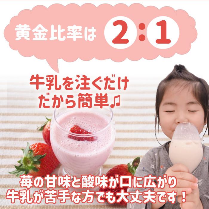 送料無料 いちごミルクの素 2本セット イチゴ 牛乳と混ぜるだけ 果肉たっぷり