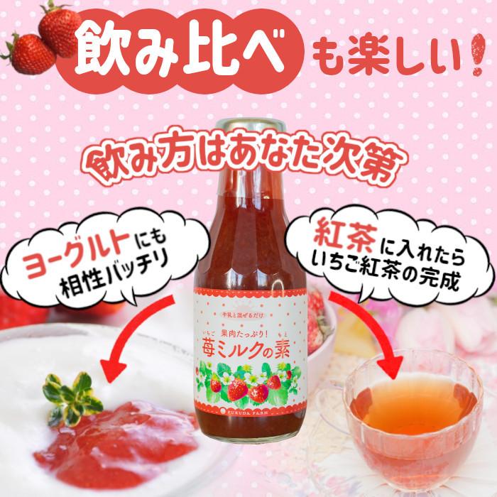 送料無料 いちごミルクの素 2本セット イチゴ 牛乳と混ぜるだけ 果肉たっぷり