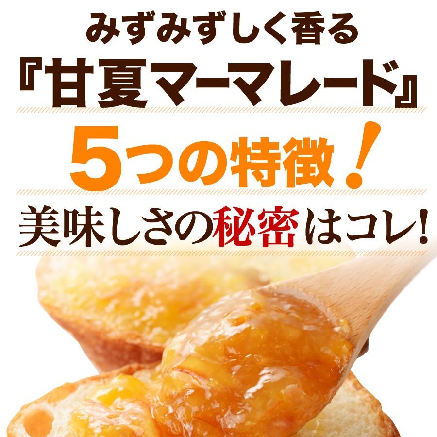 福田農場 九州果実ジャム 甘夏 マーマレード ビッグ 440g 熊本 211