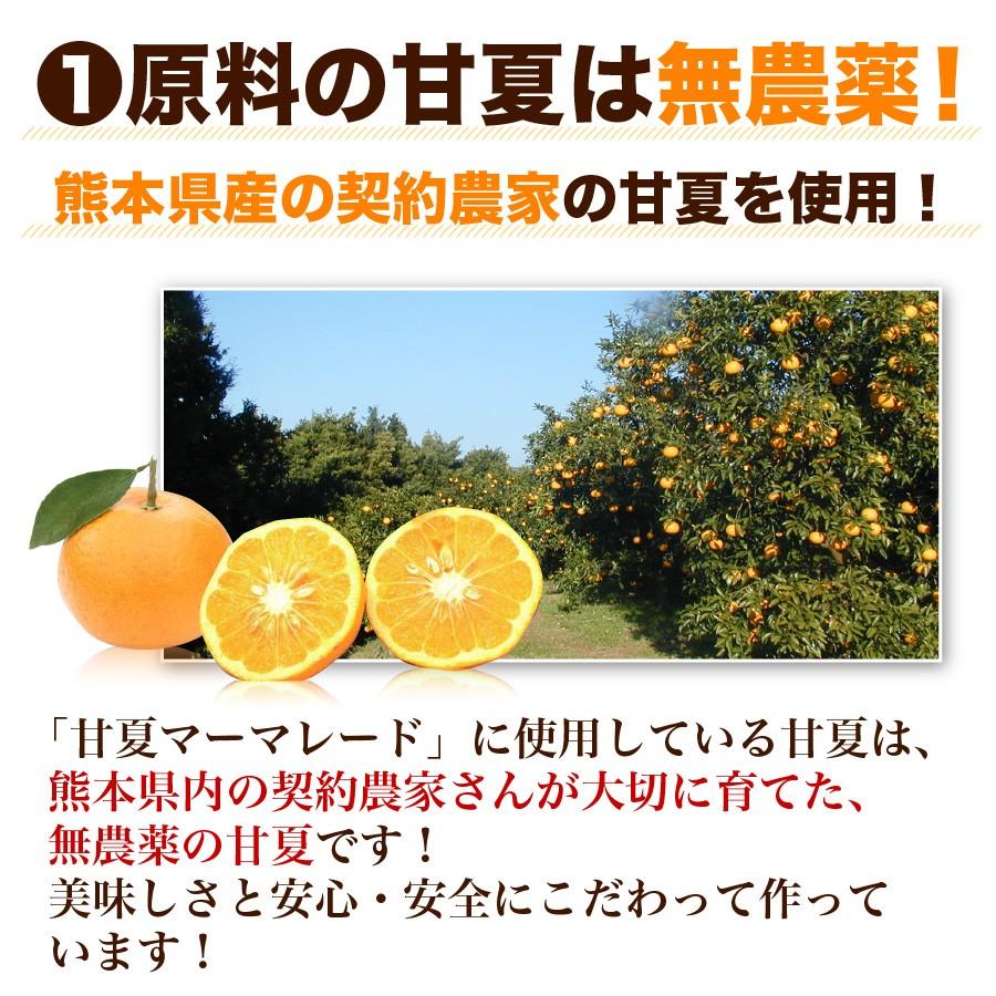 福田農場 九州果実ジャム 甘夏 マーマレード ビッグ 440g 熊本 211