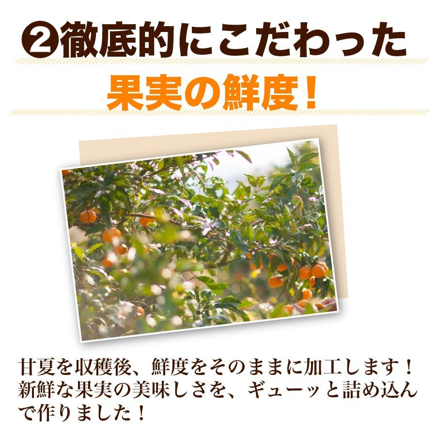 福田農場 九州果実ジャム 甘夏 マーマレード ビッグ 440g 熊本 211