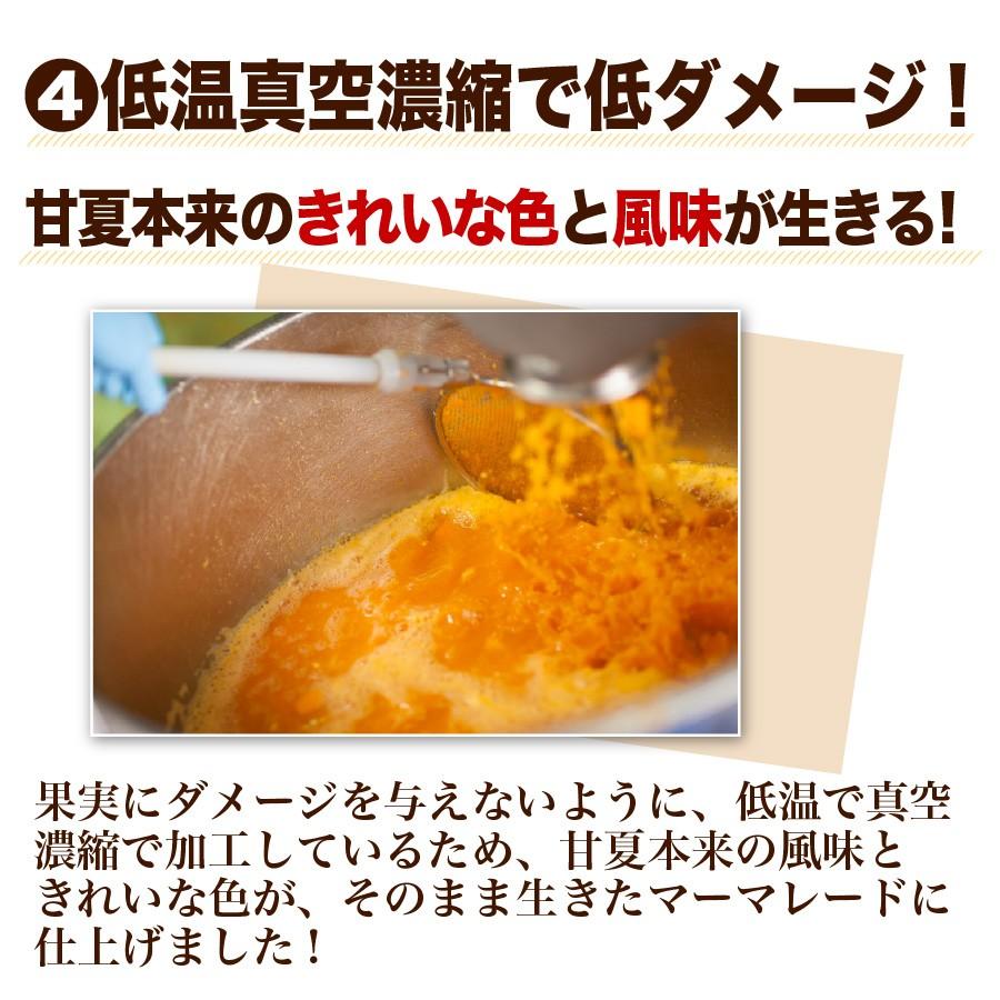 福田農場 九州果実ジャム 甘夏 マーマレード ビッグ 440g 熊本 211