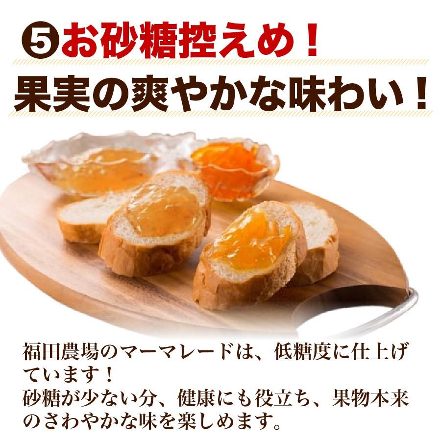 福田農場 九州果実ジャム 甘夏 マーマレード ビッグ 440g 熊本 211
