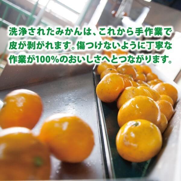 ギフト 九州まるごとしぼり12本 みかんジュース ストレート 180ml 国産 7105-T