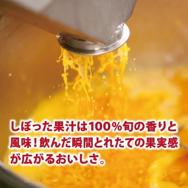 ギフト 九州まるごとしぼり12本 みかんジュース ストレート 180ml 国産 7105-T