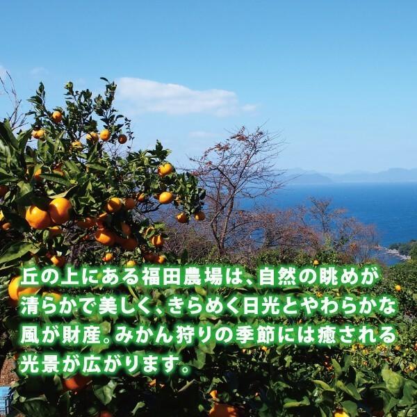 ギフト 九州まるごとしぼり12本 みかんジュース ストレート 180ml 国産 7105-T