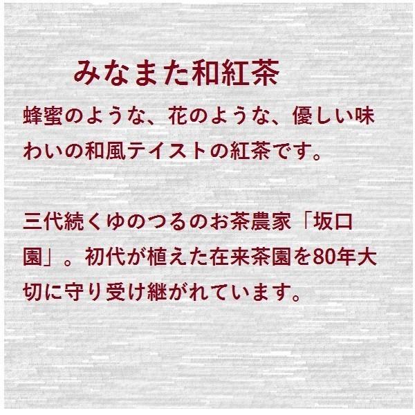 みなまた和紅茶 飲み比べ3種セット 天の製茶園 お茶の坂口園 8119-3