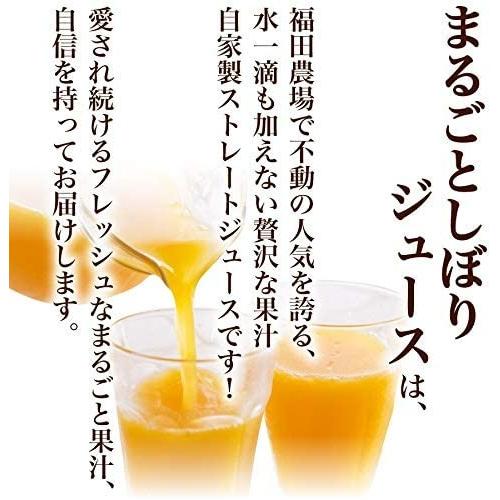 ギフト 福田農場 九州まるごとしぼりデコポン 10本セット みかんジュース ストレート 180ml 九州 国産 1030-10