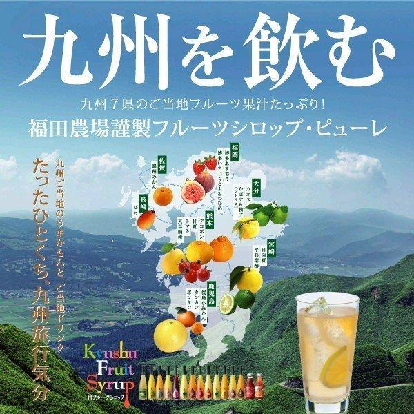ギフト 福田農場 九州果実シロップ ネット限定セット 甘夏 天草晩柑 博多あまおう G550-A