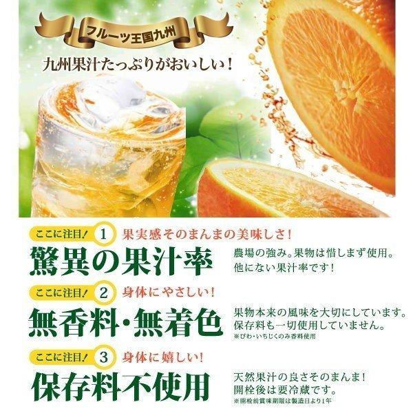 ギフト 福田農場 九州果実シロップ ネット限定セット 甘夏 天草晩柑 博多あまおう G550-A