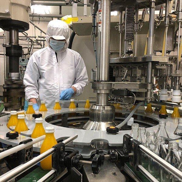 送料無料 敬老の日 2025 ギフト みかんジュース まるごとしぼり飲み比べ10本