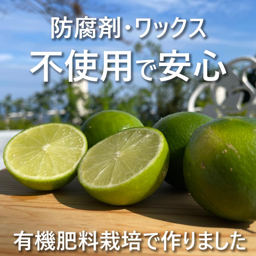 国産 ライム 2kg ノーワックス 防腐剤 防かび剤不使用 ご家庭用 有機肥料栽培 熊本県産 R189