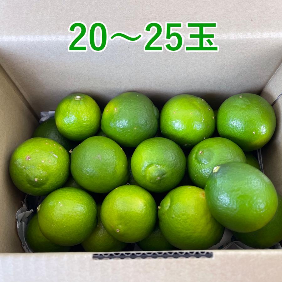 国産 ライム 2kg ノーワックス 防腐剤 防かび剤不使用 ご家庭用 有機肥料栽培 熊本県産 R189