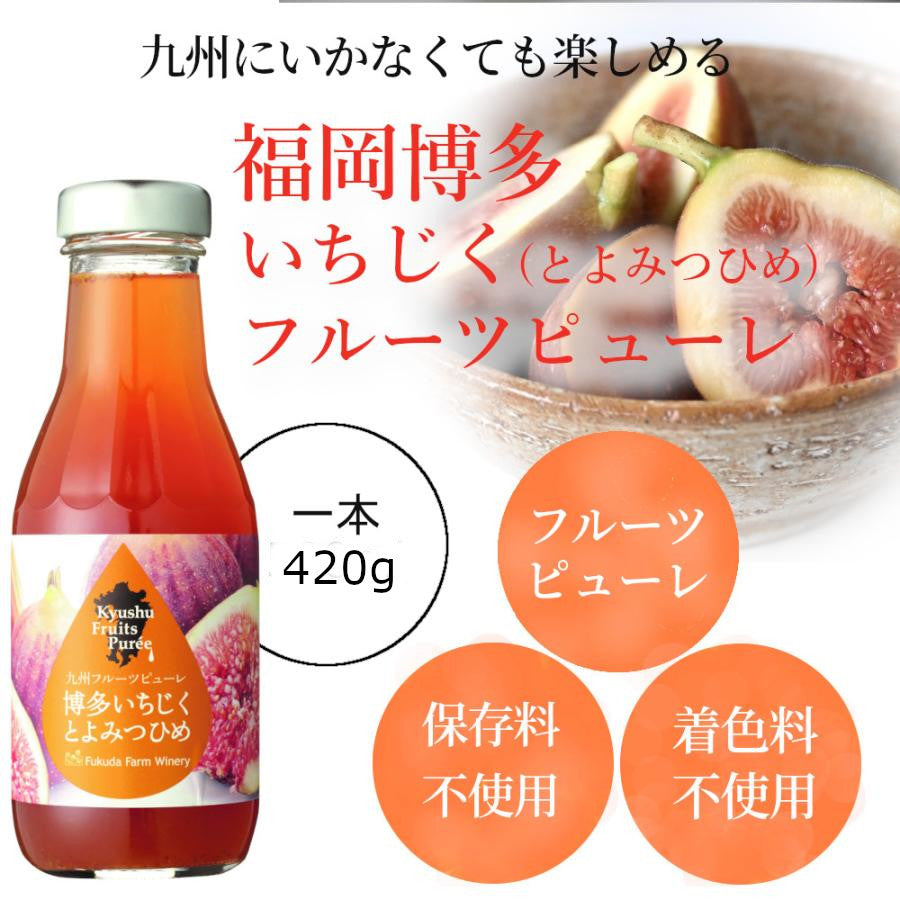 福田農場 九州果実シロップ フルーツピューレ 博多いちじく とよみつひめ 割り材 420g 1146