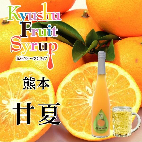 福田農場 九州果実シロップ 甘夏 割り材 3倍希釈 500ml はちみつ入り ノンアルコール ノンアルドリンク 1134