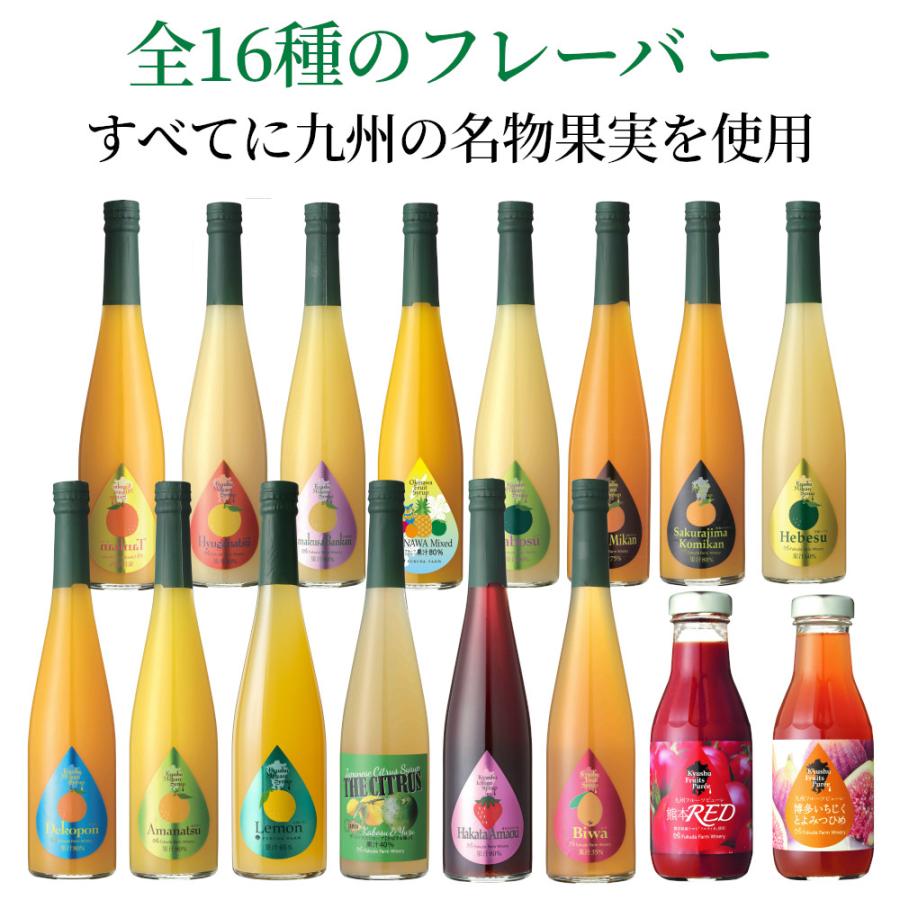 九州果実シロップ 割り材 天草 晩柑 3倍希釈 500ml はちみつ入り ノンアルコール ノンアルドリンク 1137