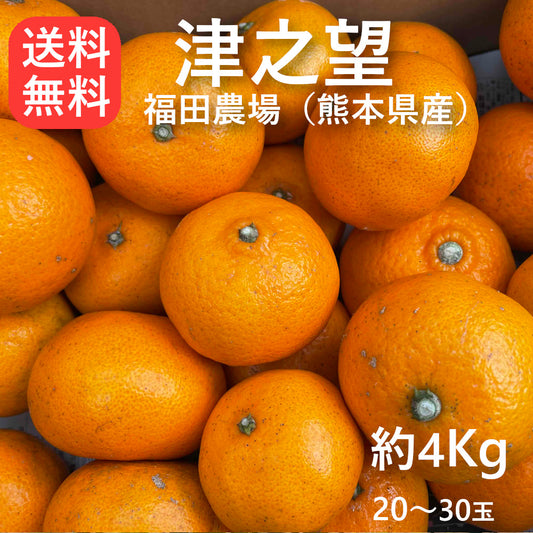 津之望みかん 約4kg ご自宅用 送料無料（北海道・沖縄・離島を除く）熊本 福田農場 約20玉から30玉SからMサイズ R141