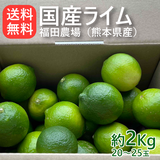国産 ライム 2kg ノーワックス 防腐剤 防かび剤不使用 ご家庭用 有機肥料栽培 熊本県産 R189