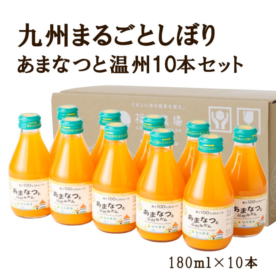 九州まるごとしぼり　あまなつと温州みかん10本セット 1020-10