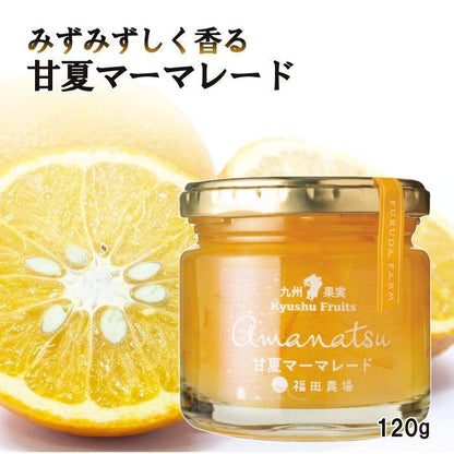 福田農場 九州果実ジャム 全種詰め合わせ 6個セット ギフト 120g レギュラーサイズ FG444