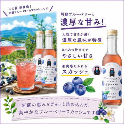 くまもとスカッシュ 200ml６本セット 阿蘇ブルーベリーとはちみつ 果汁10％ 福田農場 1077-6