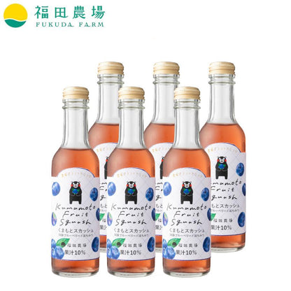 くまもとスカッシュ 200ml６本セット 阿蘇ブルーベリーとはちみつ 果汁10％ 福田農場 1077-6
