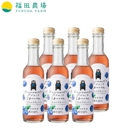 くまもとスカッシュ 200ml６本セット 阿蘇ブルーベリーとはちみつ 果汁10％ 福田農場 1077-6