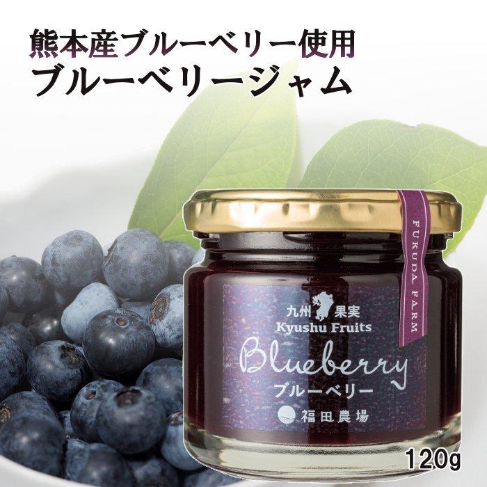 福田農場 九州果実ジャム 全種詰め合わせ 6個セット ギフト 120g レギュラーサイズ FG444