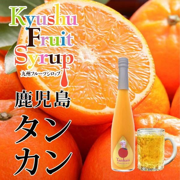 九州果実シロップ 割り材 タンカン 3倍希釈 500ml はちみつ入り 1131