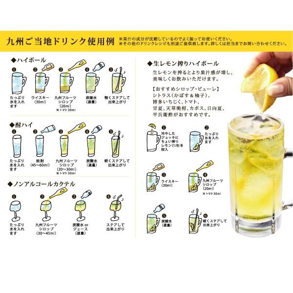 九州果実シロップ 割り材 いちご 博多あまおう 3倍希釈 500ml はちみつ入り 1138